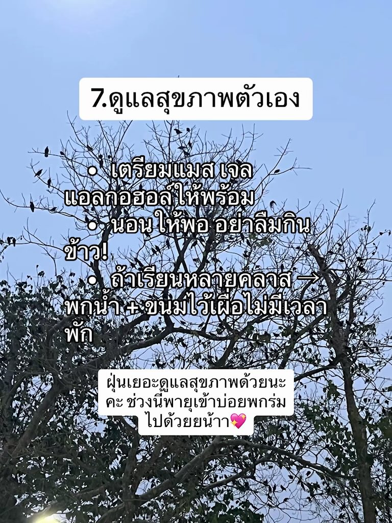 elizasheet's tweet photo. https://t.co/XFr8Ng7O4C