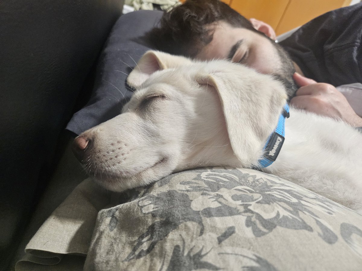 📚El Archivo de Aryn📚 tweet media