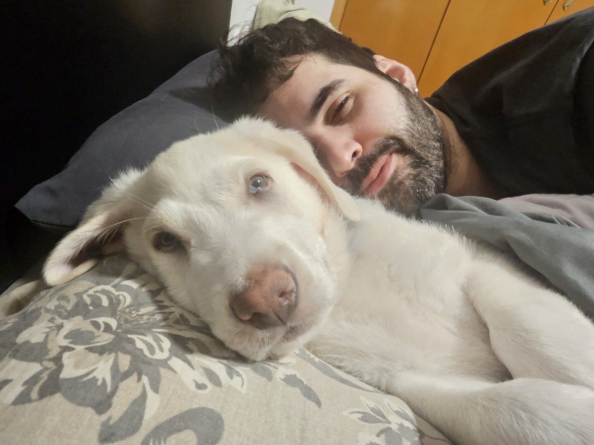 📚El Archivo de Aryn📚 tweet media