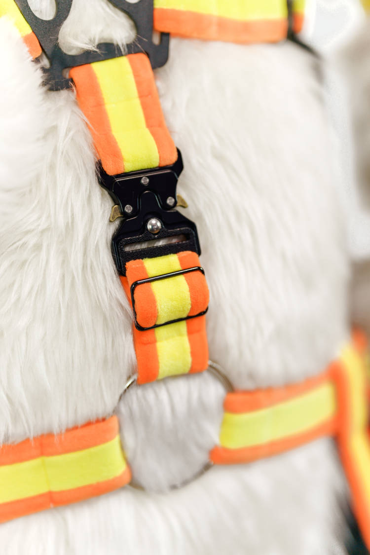 🎶♾️HARNESS DISPLAY♾️🎶

Already Thursday? 
Almost forgot to show you our progress.
Bet these new metal joint buckles will be firm as well.

#Harness #Fursuit #Huanmao_CN #幻毛造物