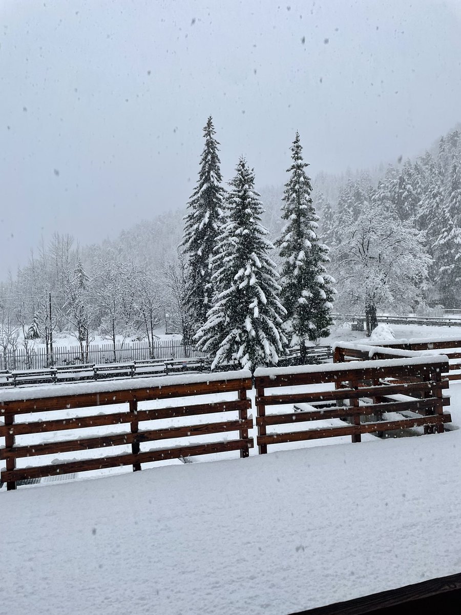 RawlinsPE tweet media