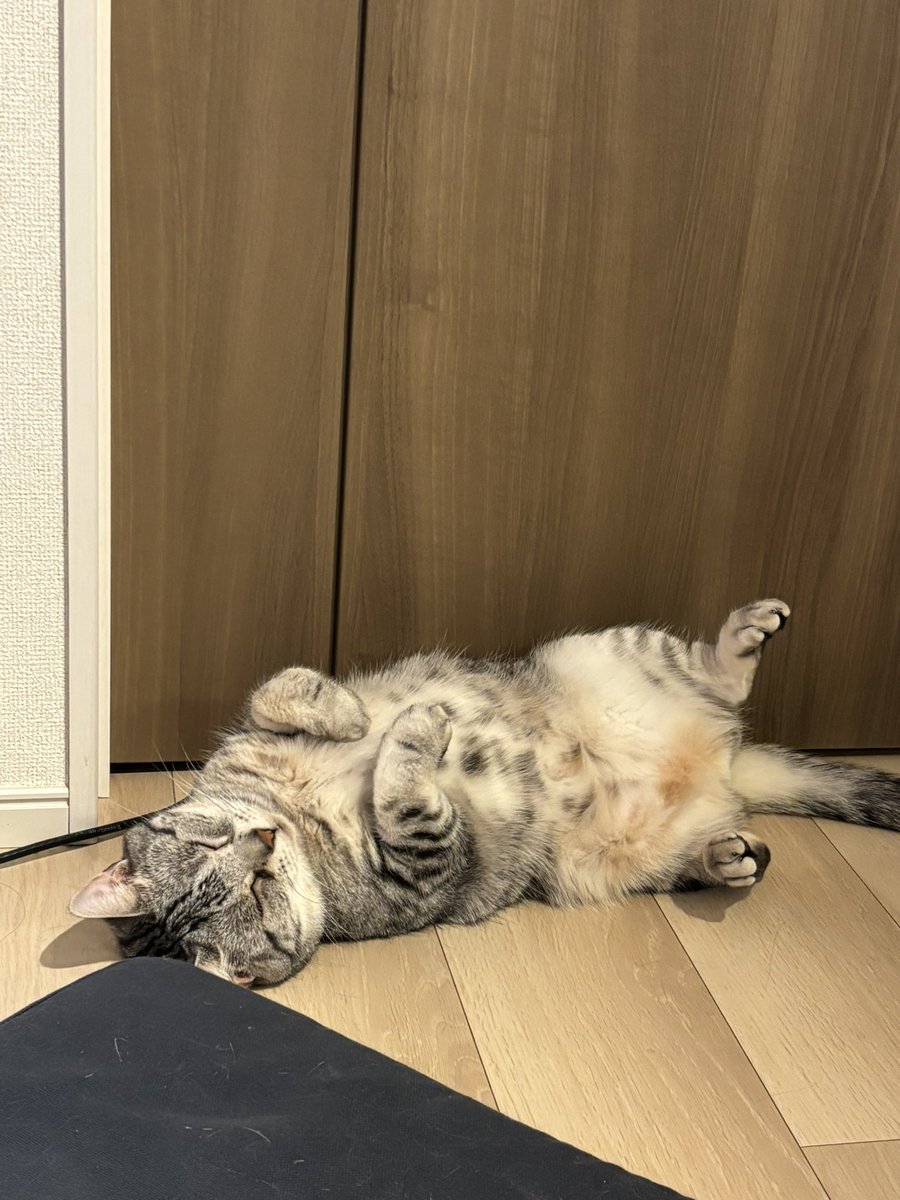 nakanoD66's tweet photo. サボり門番さん https://t.co/37tdYeKaZI
