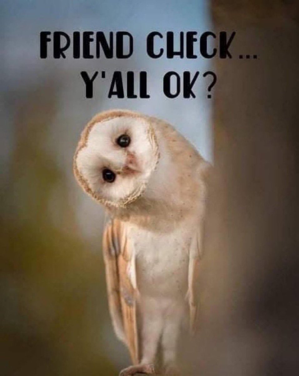 Dave “Bear” Wilberforce tweet media