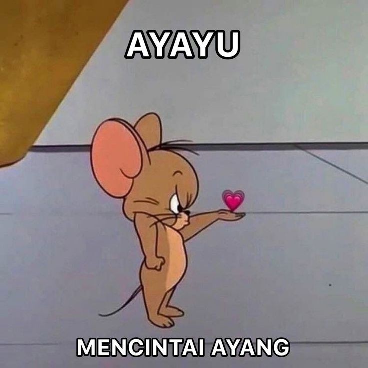 Afan oi oi tweet media