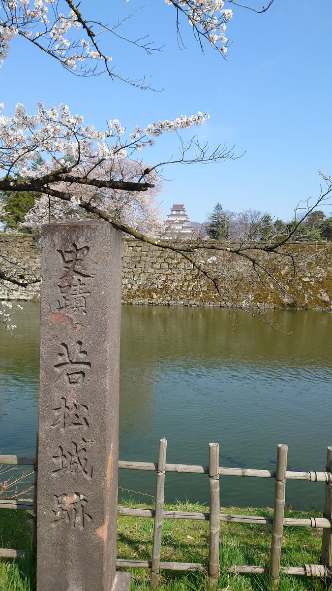 AbraDeb's tweet image. この枝先にまで桜が咲いたら理想的な映え写真が撮れるスポットなのだな