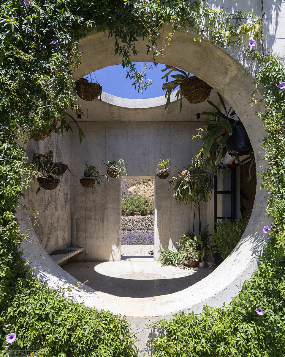Archfeed_'s tweet photo. 𝗪𝗶𝗹𝗱 𝗛𝗼𝘂𝘀𝗲 | by 𝗠𝗮𝘇𝗽𝗮𝘇𝘇 𝗔𝗿𝗾𝘂𝗶𝘁𝗲𝗰𝘁𝘂𝗿𝗮

Mazpazz Arquitectura: Nestled on the remote mountains of Palmichal de Acosta, Costa Rica, and surrounded by cloud forest, lies Casa Salvaje, a brutalist tropical haven.

©️📷@garcialachner 
📍#Palmichal, #CostaRica https://t.co/kEJLBQ8vUm