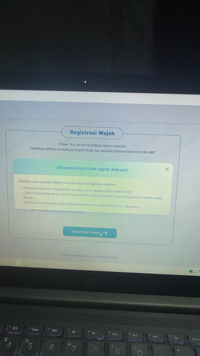 bizzything's tweet image. ada yang tau ga yaa ini kenapa?? padahal pas check device udah centang semuaa