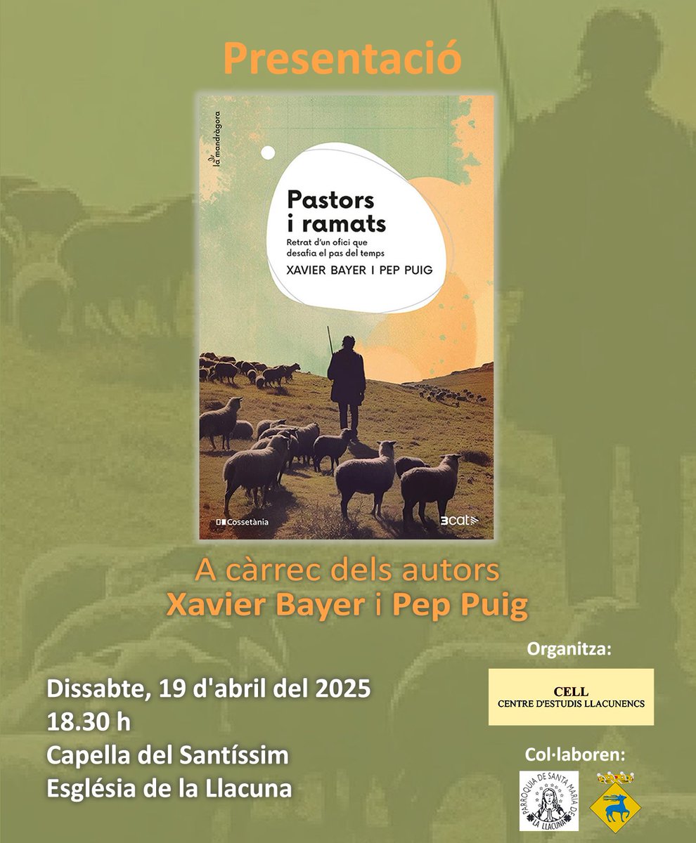 xavier bayer tweet media