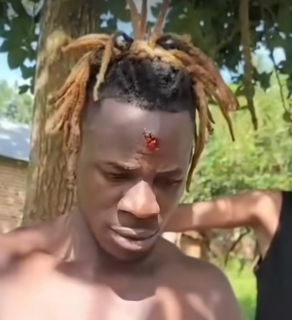 Fangone Solidier tweet media