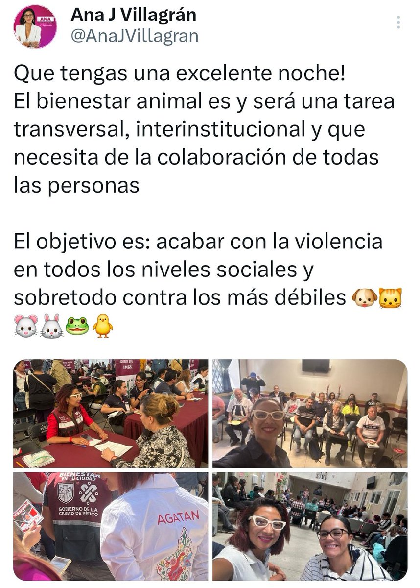 Lucía Hernández | Amo La Ciencia tweet media