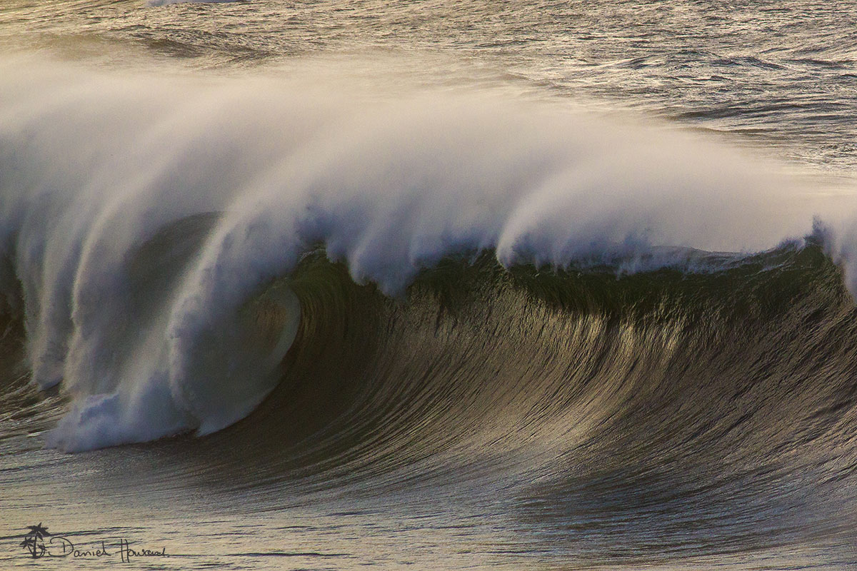 OceanArtwork's tweet photo. Im back . . .  havent used this platform since it became X 
so I thought its about time I got back onboard
It looks like theres going to be some big waves in the next few days . . . So Im getting all my gear ready
these shots are from a big swell at dawn a few years back https://t.co/VuYYBPETaR