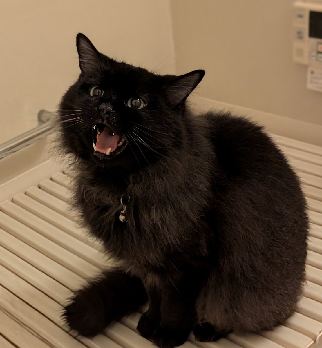 しゅば tweet media