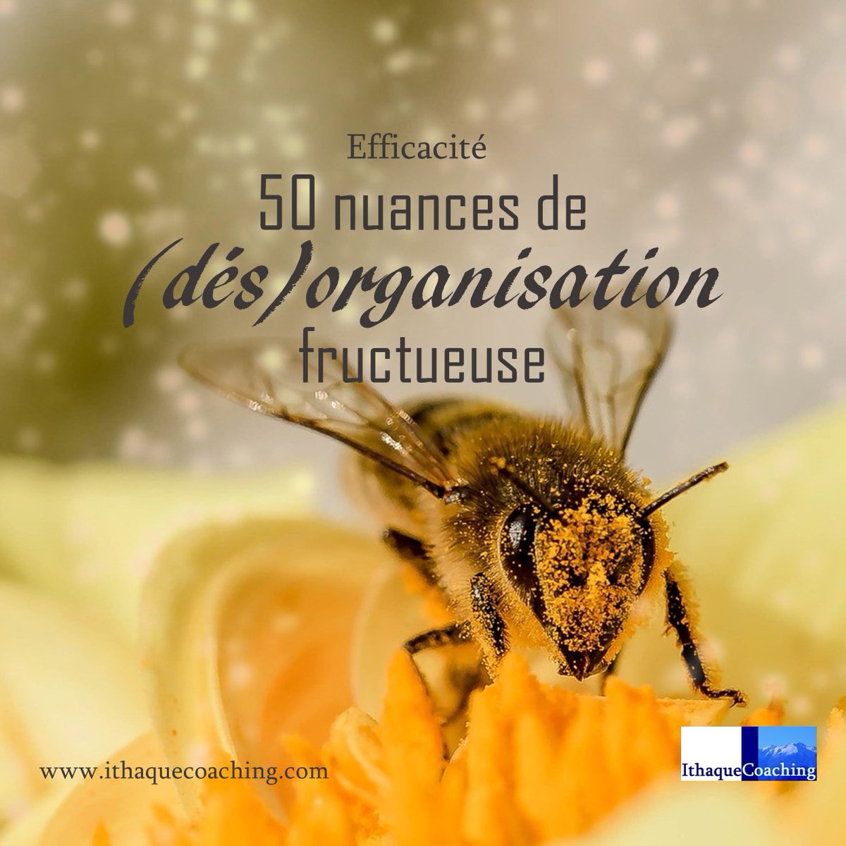 Eloge de la désorganisation à l’usage de ceux dont la carafe fonctionne en tourbillons et qui ont besoin de s’autoriser à expérimenter autre chose que la discipline (forcément de fer pour eux) &amp; la planification
Et vous, quelle nuance de (dés)organisation?
ithaquecoaching.com/articles/organ…