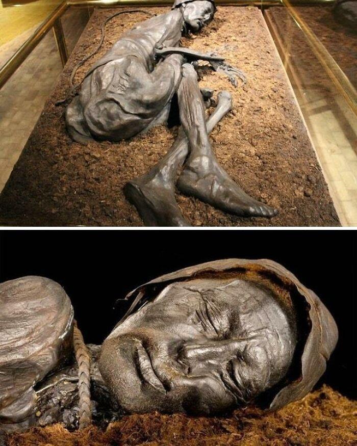 mohitkumarbhai's tweet image. Time Travelers&apos; Treasures: A Visual Journey Through Spellbinding Ancient Artifacts 

- A Thread 🧵

1. The “Tollund Man” Is A 2400-Year-Old Bog Body And Victim Of Human Sacrifice From The Iron Age, Found In Bjældskovdal In Denmark