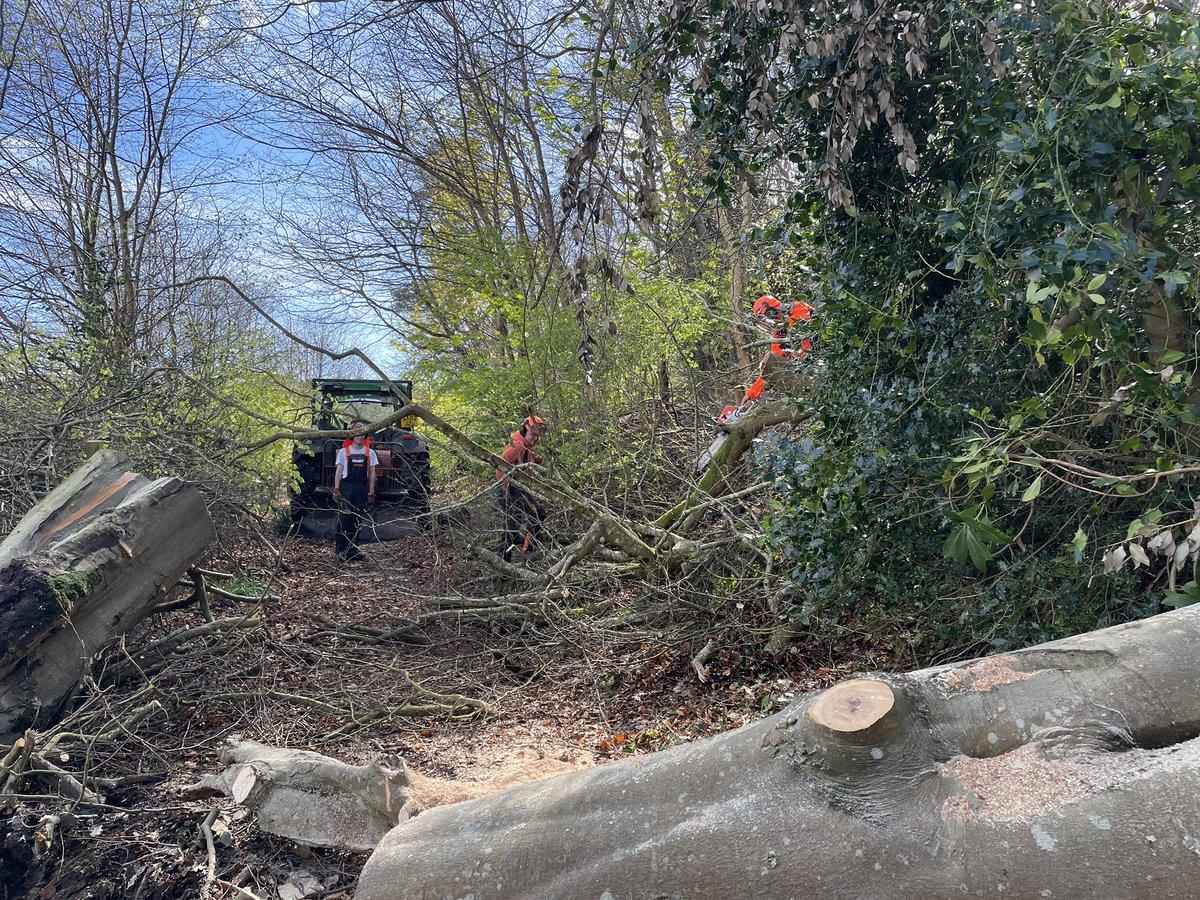 West Island Way tweet media