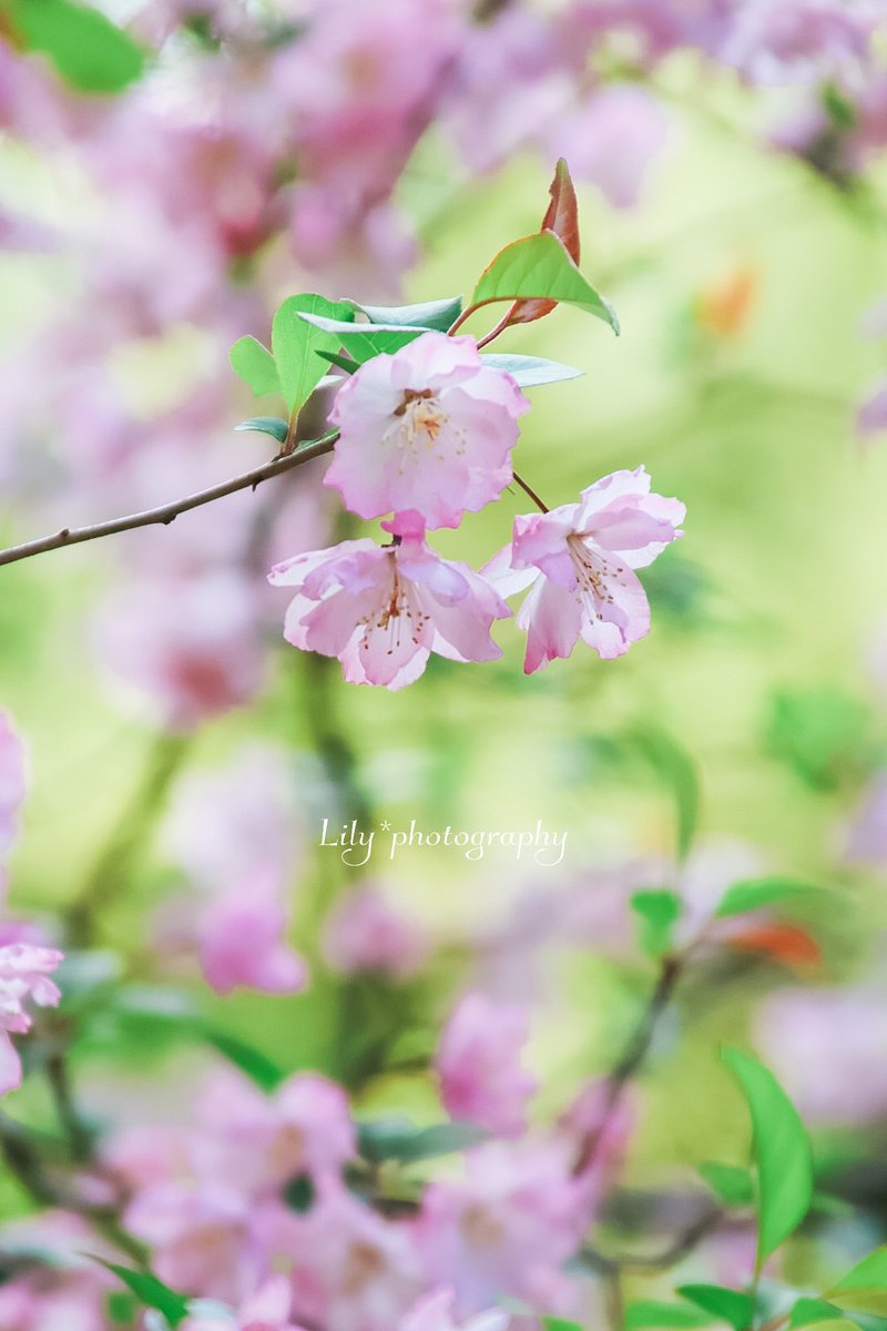 君の生きるこの時が大好き
