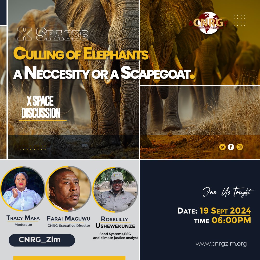 CNRG Zim tweet media