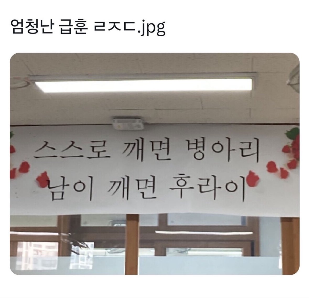 북크북크 (@akzkfltm2) on Twitter photo 