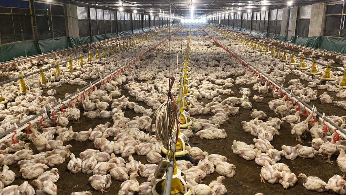 FarmCity tweet media