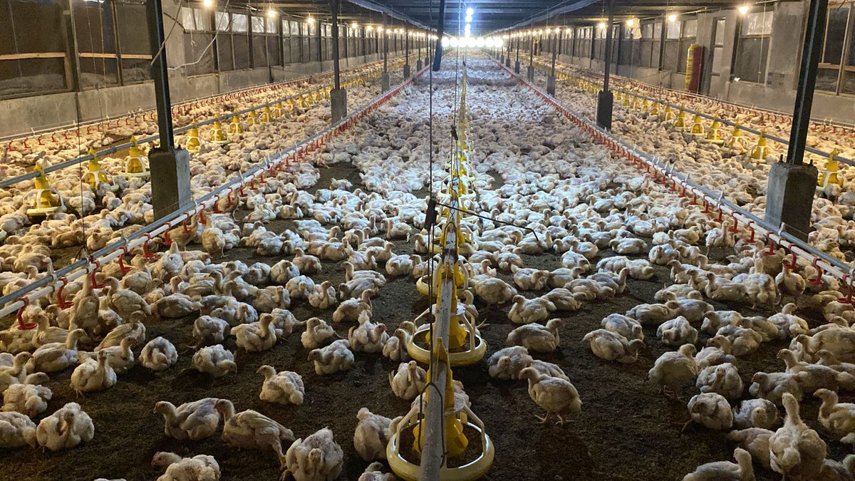 FarmCity tweet media