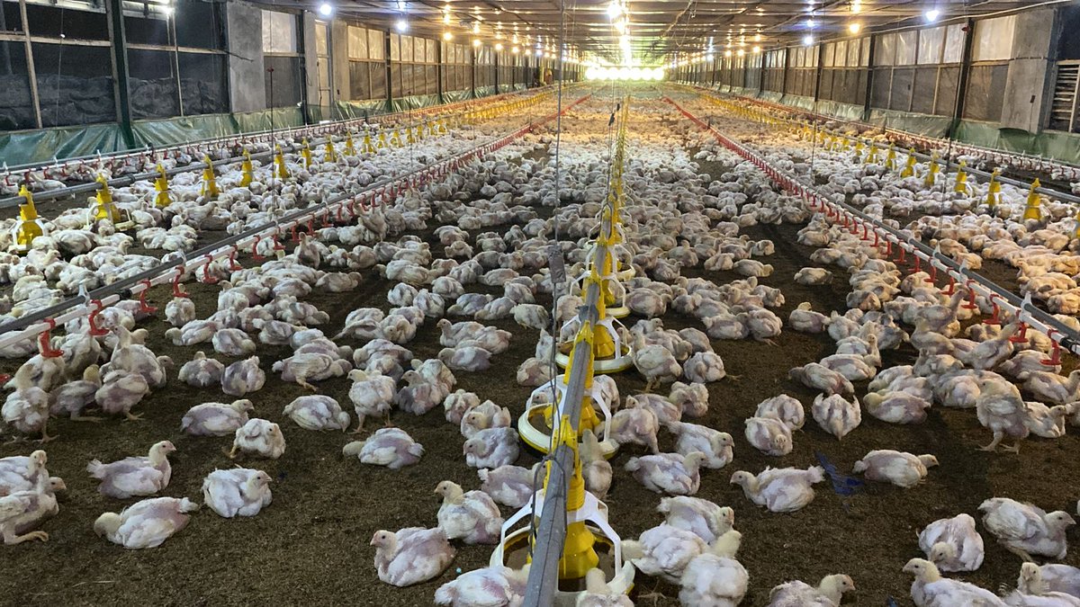 FarmCity tweet media