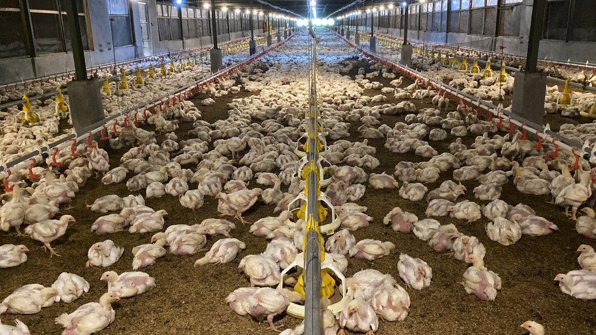 FarmCity tweet media