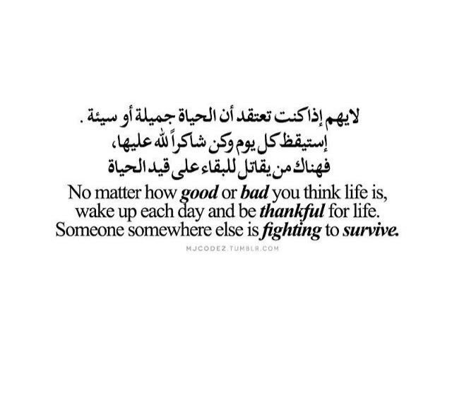 looooluuuu's tweet photo. #صباح_الخير 
#صباح_الخير_والسعاده 
#صباحيات 
#صباح_الأشياء_المُشرقة 
#صباح_آلخيــــر 
#الخميس_الونيس https://t.co/ylQuREjPHB