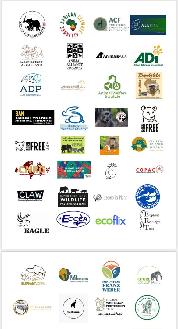 CNRG Zim tweet media