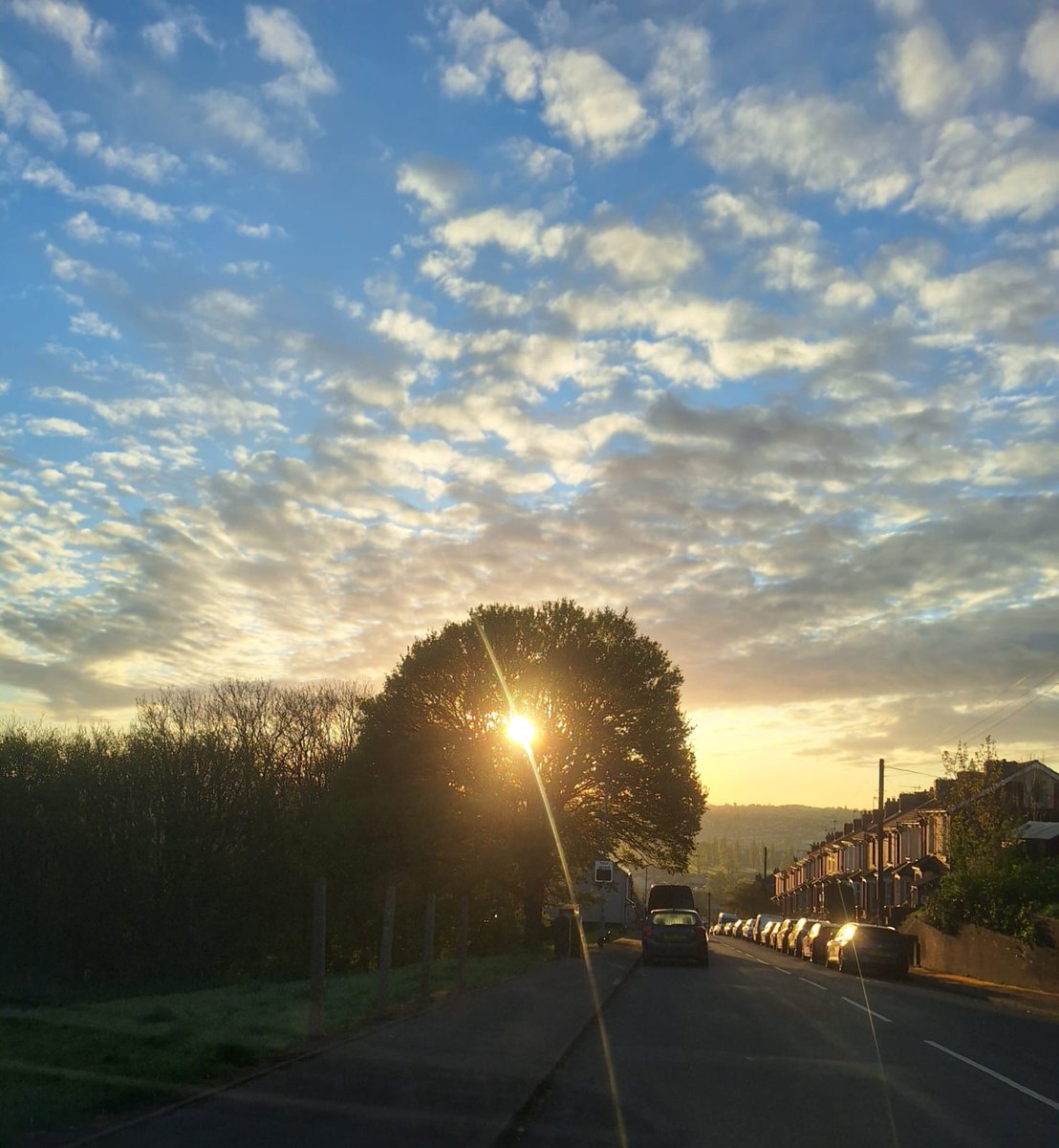 Newspapers , Magazines and Fresh organic glass bottle milk
Delivered across the entire of the UK.
DM for more info and sign ups!