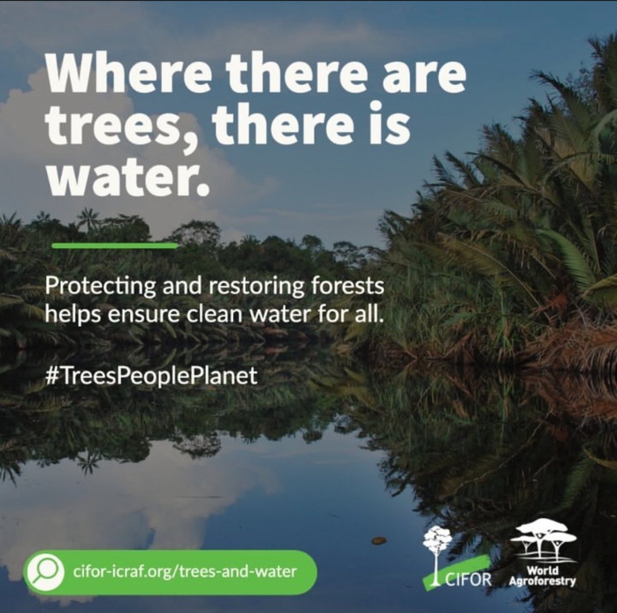 TheLandAlliance's tweet photo. No Water without Trees 🌳💧

Trees are the world’s best water storage &amp; recycling channels. They help avert water scarcity and provide many other ecosystem services.

Protecting forests helps ensure sustainable water supplies for all.

🔗: https://t.co/EsHvaxaL4v

#ForestsMatter