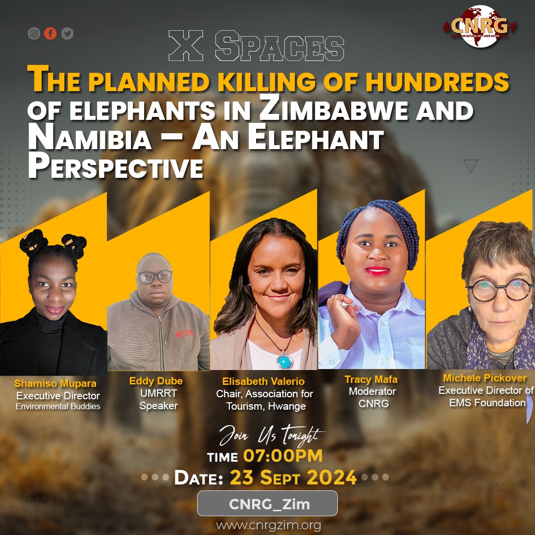 CNRG Zim tweet media