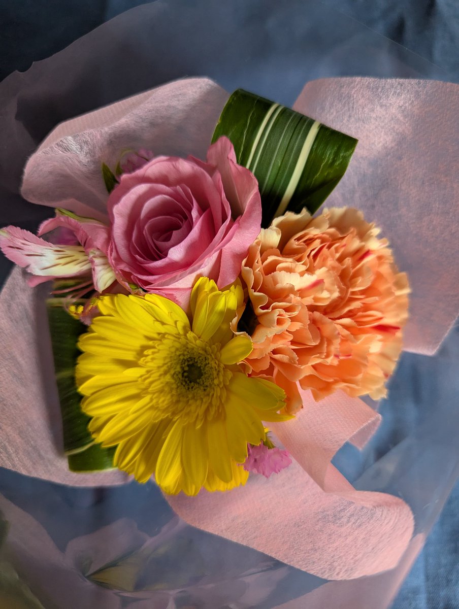 webcreate_akita's tweet photo. ふと部屋に花を飾りたくなったので、お花のことはよく知らないけど飾ってみる。
殺伐とした雰囲気が、花を飾っただけで違う雰囲気に変わるのね。 https://t.co/JJzSlXLOgB