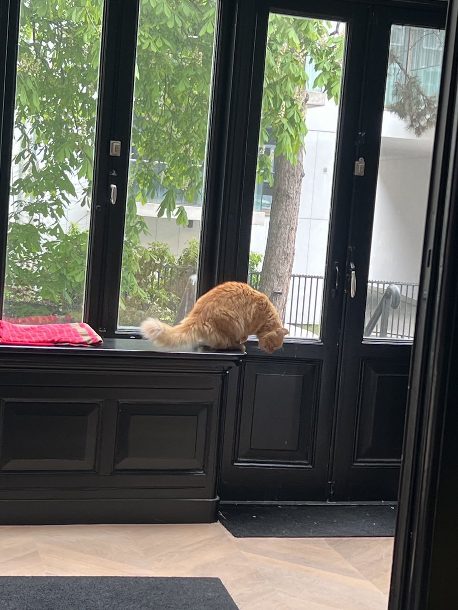 Ebru Umar tweet media