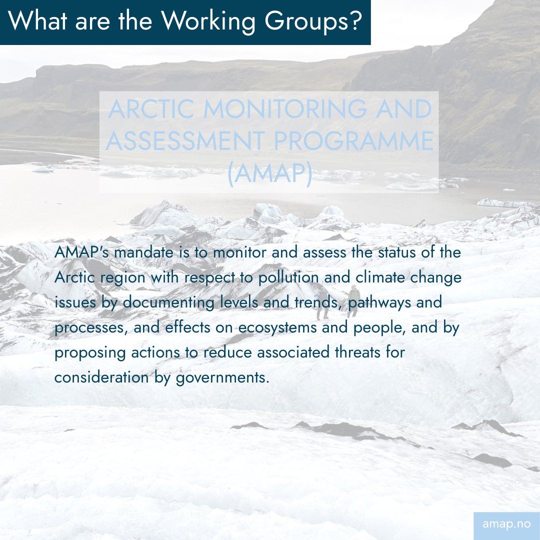 🔎 Get to know the Arctic Council Working Groups

The Arctic Monitoring and Assessment Programme (AMAP) tracks pollution &amp; climate change impacts in the Arctic. ❄️🌍

🔗 Learn more: amap.no