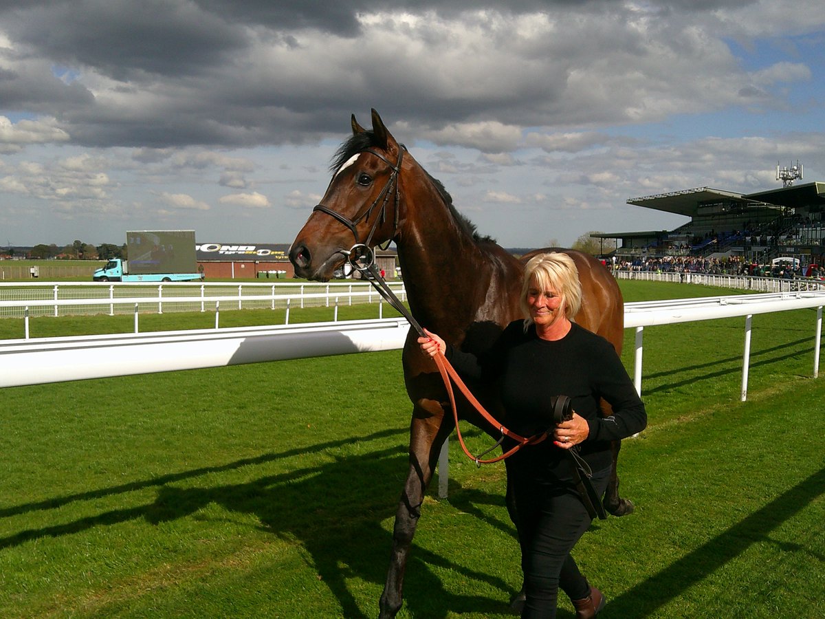 David Vickers (@davidvi04981180) on Twitter photo Kokanee winner of the 3yo Handicap at Beverley yesterday for Ed Dunlop Racing <a href="/EdDunlopRacing/">Ed Dunlop Racing</a> #Kokanee Kokanee winner of the 3yo Handicap at Beverley yesterday for Ed Dunlop Racing <a href="/EdDunlopRacing/">Ed Dunlop Racing</a> #Kokanee