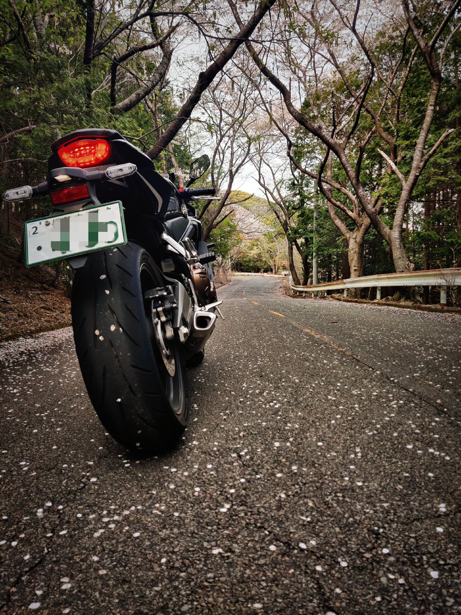seeback10's tweet photo. 最近バイクご無沙汰気味だ。
やっとこさ乗った先日の桜 https://t.co/FcFgwzSYqb