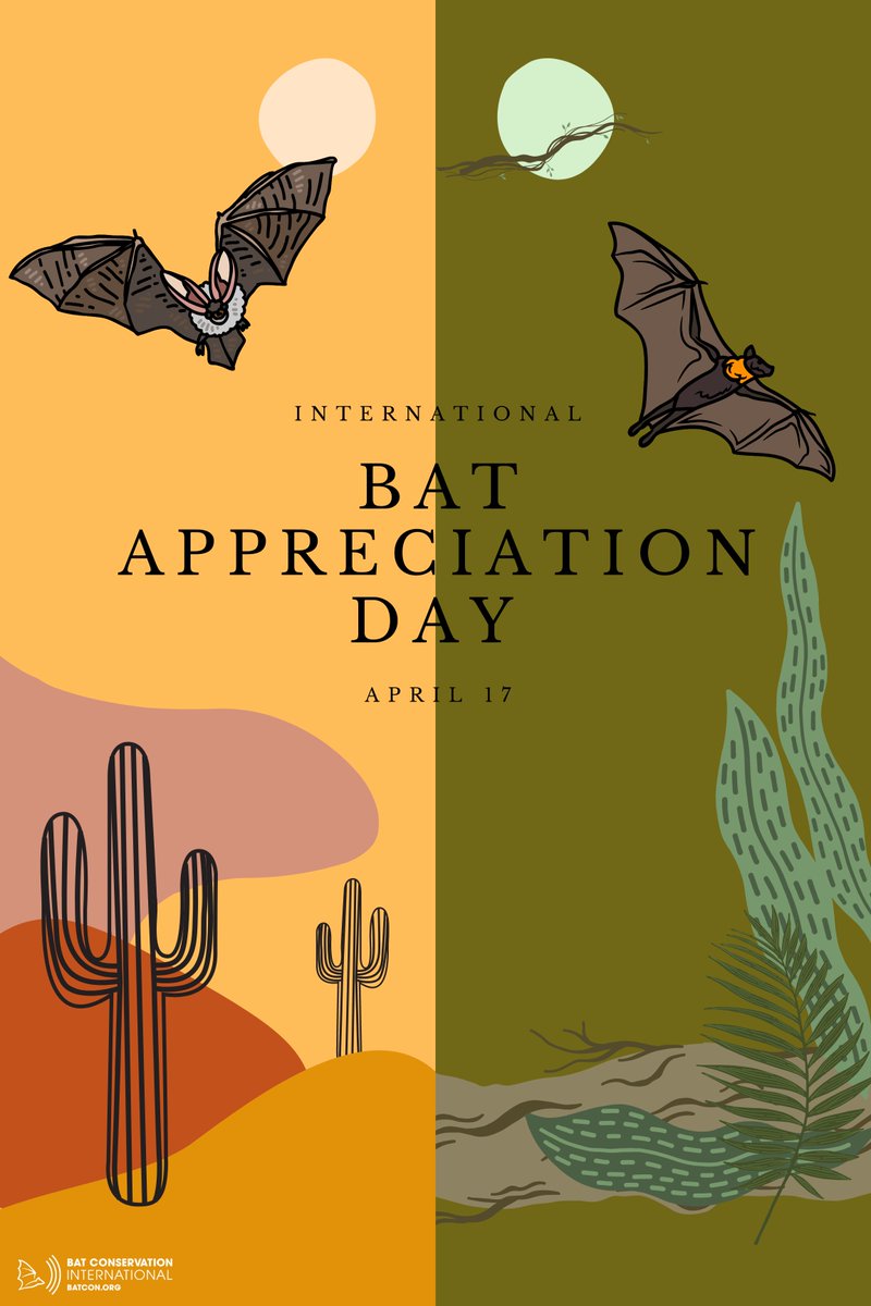Happy Bat Appreciation Day! 🦇 

Celebrate with us! Join us for an Ask Us Anything Bat Flight livestream from Bracken Cave Preserve. Tonight at 8:30pm EST. More information: news.batcon.org/3G7dXtF