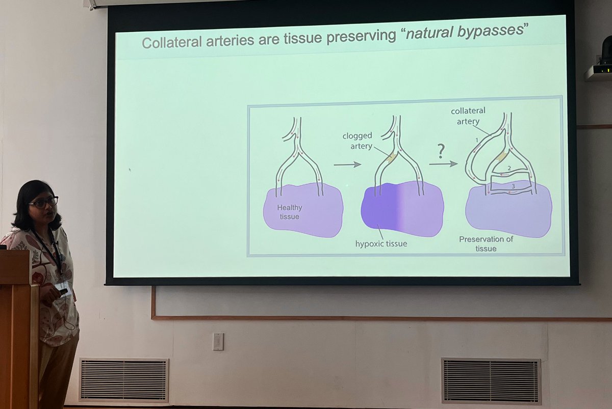 National Centre for Biological Sciences (@ncbs_bangalore) on Twitter photo <a href="/Soumya3693/">Soumyashree Das</a> <a href="/Rudra_nayan/">Rudra Nayan Das</a> <a href="/ShivNadarUniv/">Shiv Nadar University, Delhi NCR</a> <a href="/Saran__Kumar/">Saran Kumar</a> <a href="/iitdelhi/">IIT Delhi</a> <a href="/RGCB_Trivandrum/">DBT-RGCB</a> <a href="/balkrishna_bhu/">Bal Krishna Chaturvedi</a> <a href="/iitdhrwd/">IIT Dharwad</a> <a href="/JNU_official_50/">Jawaharlal Nehru University (JNU)</a> <a href="/i_UCSY/">Umesh Chand</a> <a href="/drsuryanair/">Surya Ramachandran</a> <a href="/GujBiotechUni/">Gujarat Biotechnology University</a> <a href="/Syamantak2021/">Syamantak Majumder</a> <a href="/bitspilaniindia/">BITS Pilani</a> <a href="/savykaur3/">savykaur</a> <a href="/ILBS_India/">ILBS_University</a> Last talk of the Day 1 of the conference is by Dr <a href="/Soumya3693/">Soumyashree Das</a> from <a href="/NCBS_Bangalore/">National Centre for Biological Sciences</a> on drivers of arterial fate : molecules and mechanisms
#VBS2025
(11/n) <a href="/Soumya3693/">Soumyashree Das</a> <a href="/Rudra_nayan/">Rudra Nayan Das</a> <a href="/ShivNadarUniv/">Shiv Nadar University, Delhi NCR</a> <a href="/Saran__Kumar/">Saran Kumar</a> <a href="/iitdelhi/">IIT Delhi</a> <a href="/RGCB_Trivandrum/">DBT-RGCB</a> <a href="/balkrishna_bhu/">Bal Krishna Chaturvedi</a> <a href="/iitdhrwd/">IIT Dharwad</a> <a href="/JNU_official_50/">Jawaharlal Nehru University (JNU)</a> <a href="/i_UCSY/">Umesh Chand</a> <a href="/drsuryanair/">Surya Ramachandran</a> <a href="/GujBiotechUni/">Gujarat Biotechnology University</a> <a href="/Syamantak2021/">Syamantak Majumder</a> <a href="/bitspilaniindia/">BITS Pilani</a> <a href="/savykaur3/">savykaur</a> <a href="/ILBS_India/">ILBS_University</a> Last talk of the Day 1 of the conference is by Dr <a href="/Soumya3693/">Soumyashree Das</a> from <a href="/NCBS_Bangalore/">National Centre for Biological Sciences</a> on drivers of arterial fate : molecules and mechanisms
#VBS2025
(11/n)