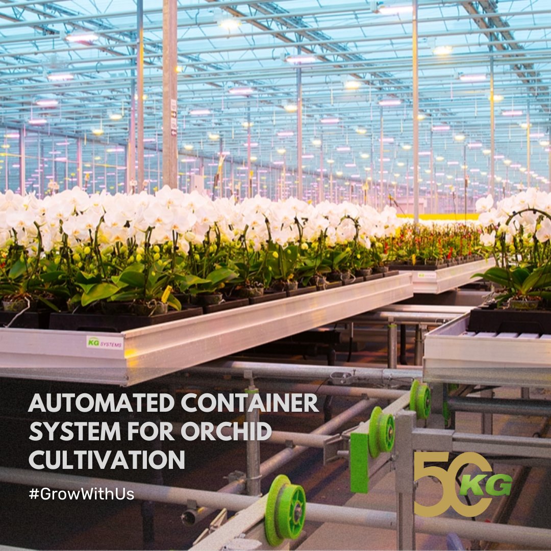 KG Systems – Automated Container System for Orchid Cultivation 🍀
Fully automated &amp; labour-saving — Opti-Flor’s 16,000 m² system maximises space &amp; optimises growth.
✅ One of many successful KG Systems projects
📍 Nederland | 🌱 16,000 m²
👉 kgsystems.nl/en/projects/co…
#GrowWithUs