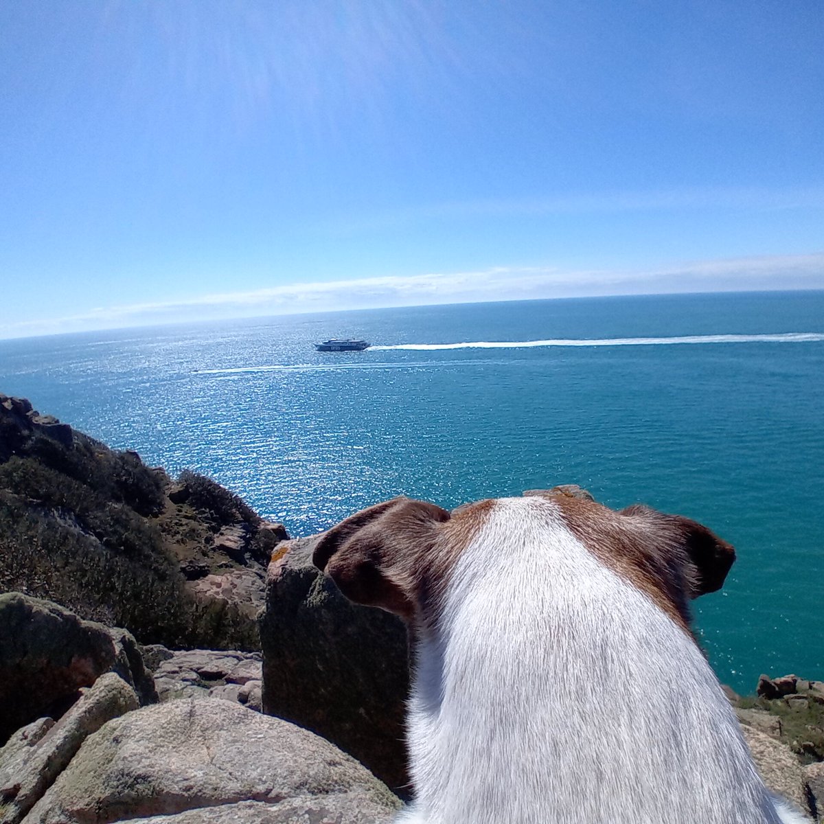 JJ Gallagher (@jjgallagher3) on Twitter photo Sat watching the new ferry passing on way to <a href="/PortsofJersey/">Ports of Jersey</a> assisted by local pilot boat. <a href="/dfds_ukire/">DFDS UK & IRE</a> <a href="/VisitJerseyCI/">Visit Jersey</a> <a href="/BBCJersey/">BBC Jersey</a> Sat watching the new ferry passing on way to <a href="/PortsofJersey/">Ports of Jersey</a> assisted by local pilot boat. <a href="/dfds_ukire/">DFDS UK & IRE</a> <a href="/VisitJerseyCI/">Visit Jersey</a> <a href="/BBCJersey/">BBC Jersey</a>