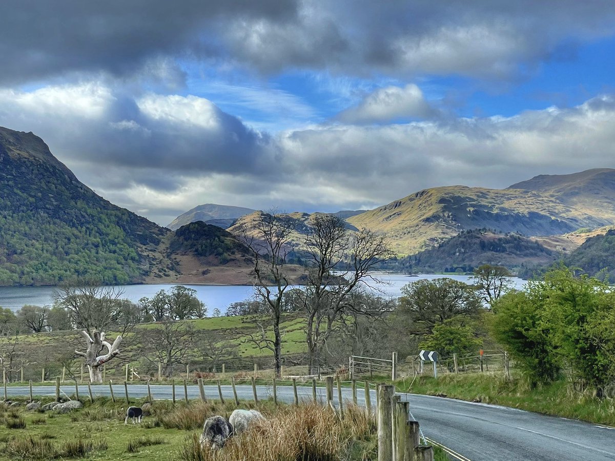 Catstycam's tweet photo. Nature is looking particularly vibrant today, isn’t it? https://t.co/WKpZ81t59S