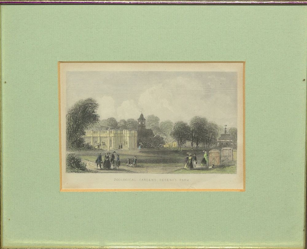 #Thankyou to Ann Datta our #Volunteer Art Cataloguer! Ann has catalogued records for #zoohistory prints received from Peter Olney, former Curator of Birds.
See more in our Library catalogue: library.zsl.org click 'Search artworks' on the lefthand sidebar.