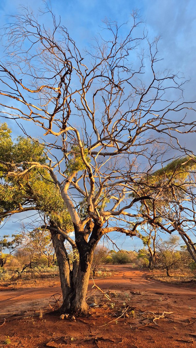 Robin Sinclair tweet media