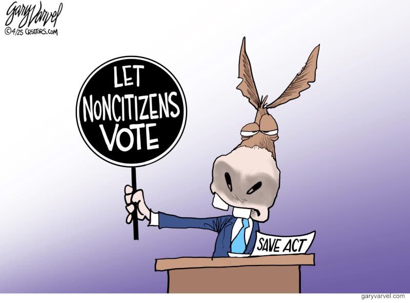 When have democrats stood for the good of our country? In my opinion, they DON’T!