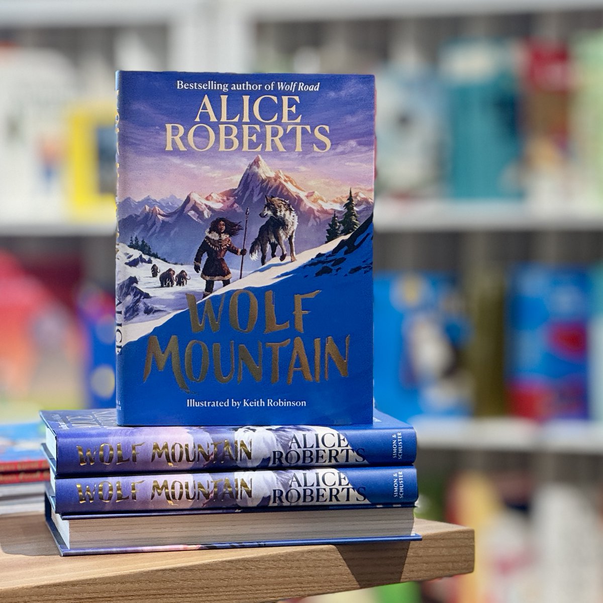 Waterstones Kids (@waterstoneskids) on Twitter photo Based on genuine archaeological evidence, this stunning sequel to <a href="/theAliceRoberts/">Prof Alice Roberts💙</a>' Wolf Road sends Tuuli & her wolf cub Lupa on an epic journey across the Tundra to find the family of the friend she lost.
With mesmerising illustration by <a href="/RobinsonKH/">Keith Robinson</a>: waterstones.com/book/wolf-moun… Based on genuine archaeological evidence, this stunning sequel to <a href="/theAliceRoberts/">Prof Alice Roberts💙</a>' Wolf Road sends Tuuli & her wolf cub Lupa on an epic journey across the Tundra to find the family of the friend she lost.
With mesmerising illustration by <a href="/RobinsonKH/">Keith Robinson</a>: waterstones.com/book/wolf-moun…