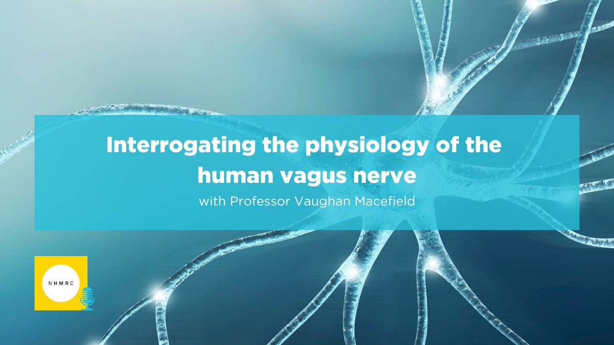 NHMRC (@nhmrc) on Twitter photo A new era of research that promises to uncover novel information on the physiology of the human vagus nerve is unfolding right before our eyes. Listen to our Speaking of Science webinar with Professor Vaughan Macefield (<a href="/MonashUni/">Monash University</a>) on NHMRC’s website: ow.ly/T18O50VC4n9 A new era of research that promises to uncover novel information on the physiology of the human vagus nerve is unfolding right before our eyes. Listen to our Speaking of Science webinar with Professor Vaughan Macefield (<a href="/MonashUni/">Monash University</a>) on NHMRC’s website: ow.ly/T18O50VC4n9