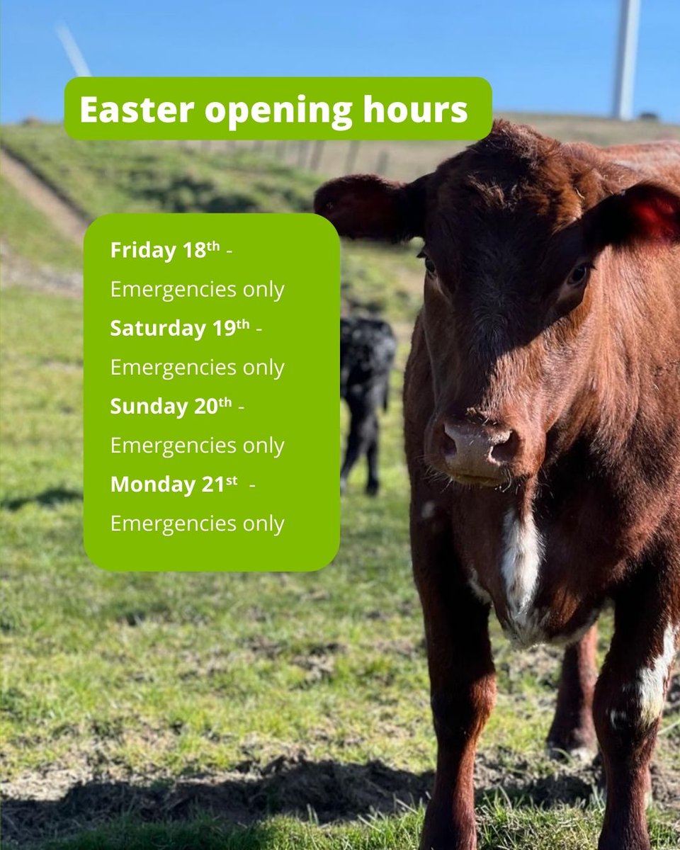 🐣🌷 Easter Opening Hours 🌷🐣

There will be three farm vets on call and available for emergencies over the weekend. We will back open on Tuesday 22nd April.