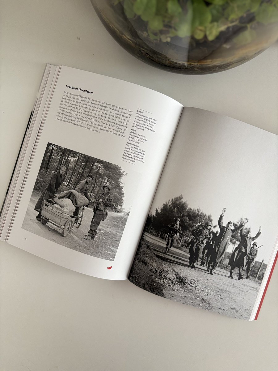 Camille Leloup tweet media