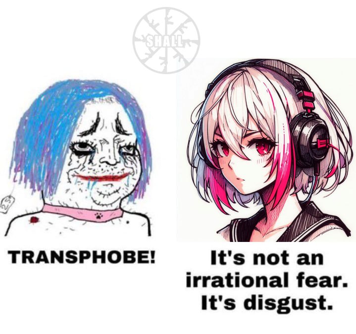 S.H.A.L.L. (@shall_ntbe) on Twitter photo 