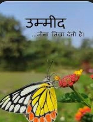 Aslam_Progress's tweet photo. #eknayiUMEED https://t.co/NK3rFG75T4